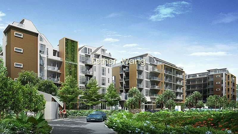 TROPIKA EAST photo 3