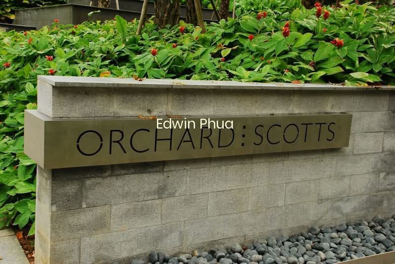 ORCHARD SCOTTS photo 6