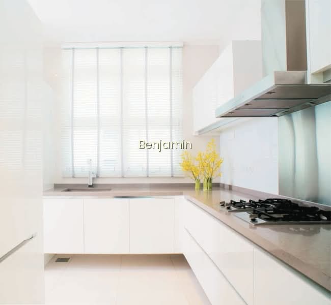 RESIDENCES @ EMERALD HILL photo 4