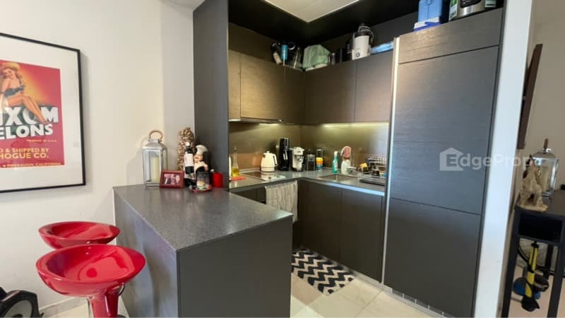DUO RESIDENCES photo 4
