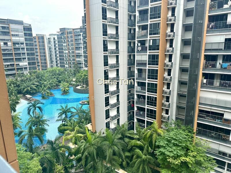 COCO PALMS photo 2