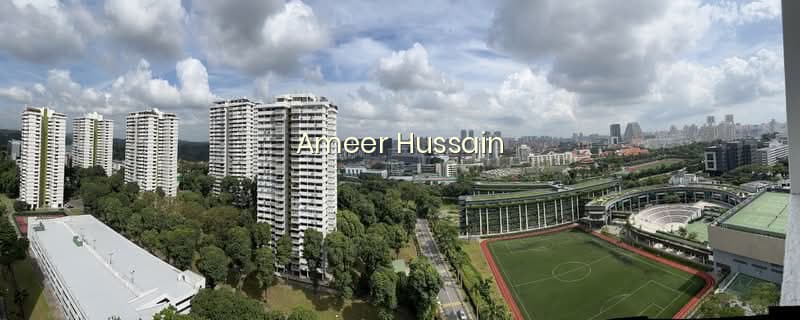 BRADDELL VIEW photo 6