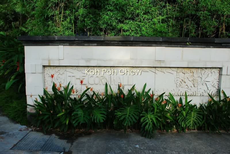 THE CORNWALL photo 4