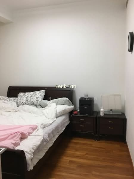 THE LINCOLN RESIDENCES photo 3