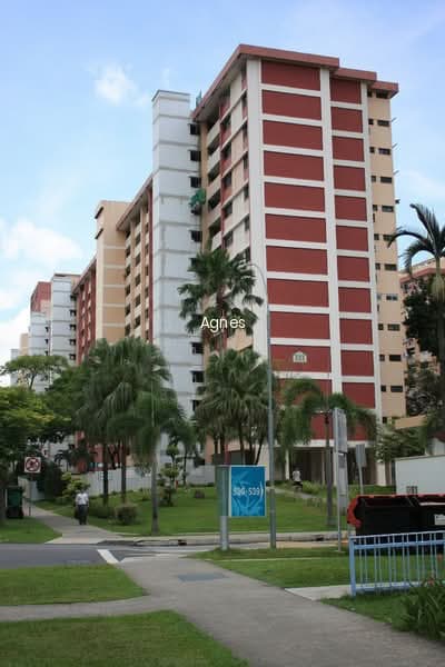 523 ANG MO KIO AVENUE 5 photo 6