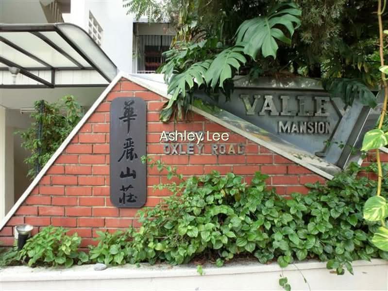 VALLEY MANSION photo 6