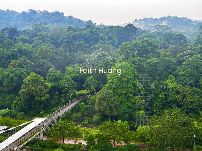 BUKIT VIEW photo 3