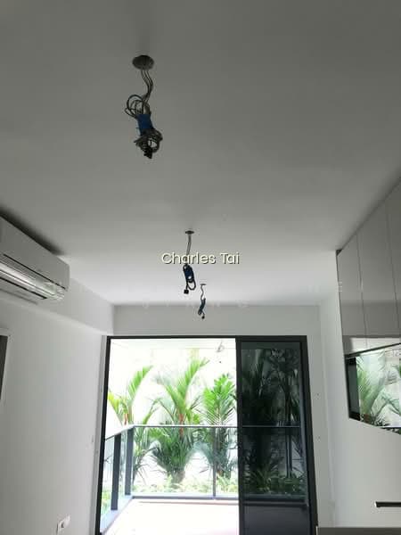 SOPHIA HILLS photo 2