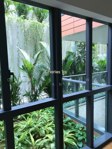 SOPHIA HILLS photo 3