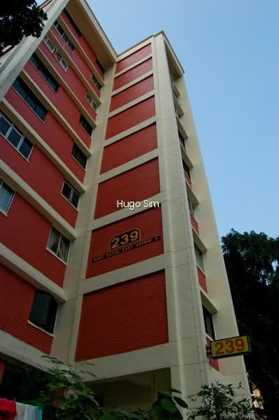 239 BUKIT BATOK EAST AVENUE 5 photo 6