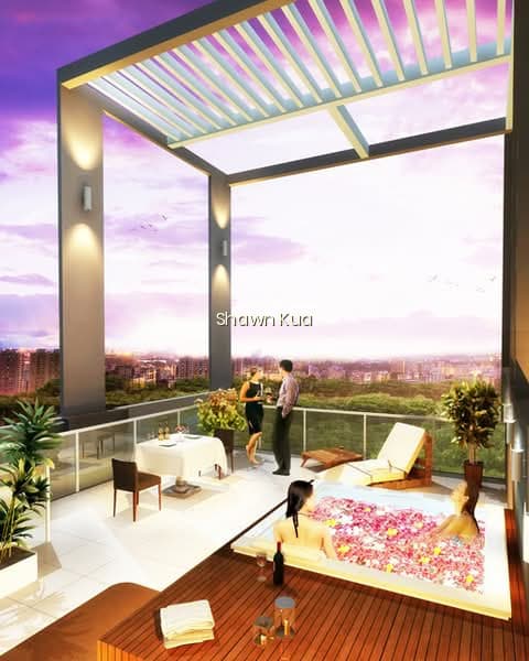 8 BASSEIN photo 6