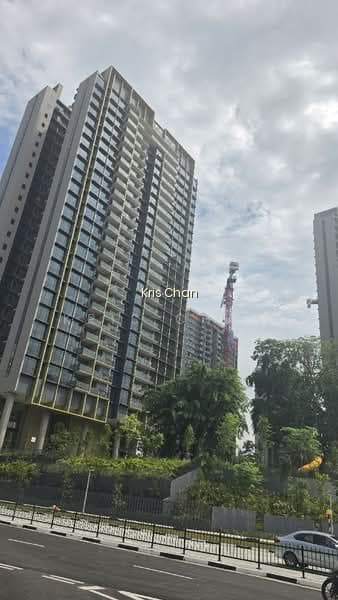 PINETREE HILL photo 2