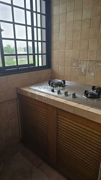301 SHUNFU ROAD photo 4