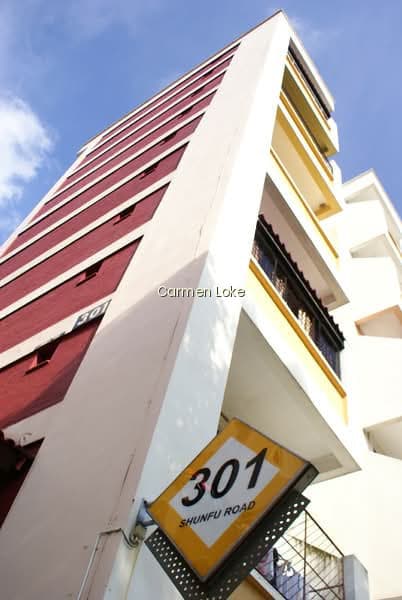 301 SHUNFU ROAD photo 5