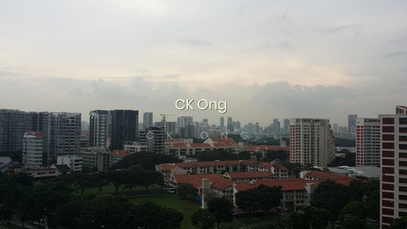 334 KRETA AYER ROAD photo 3
