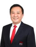 CH Tan profile